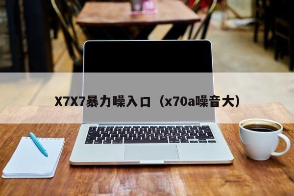 X7X7暴力噪入口(x70a噪音大)