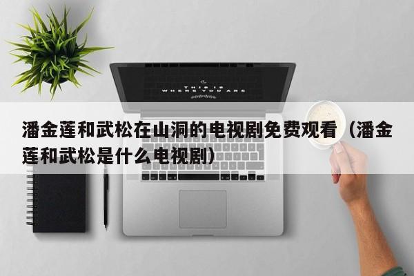 潘金莲和武松在山洞的电视剧免费观看(潘金莲和武松是什么电视剧)
