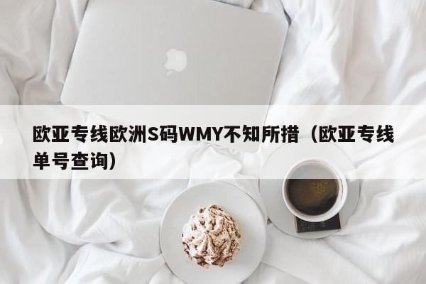 欧亚专线欧洲S码WMY不知所措(欧亚专线单号查询)