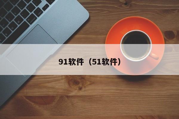 91软件(51软件)