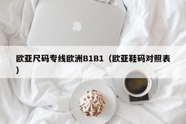 欧亚尺码专线欧洲B1B1(欧亚鞋码对照表)