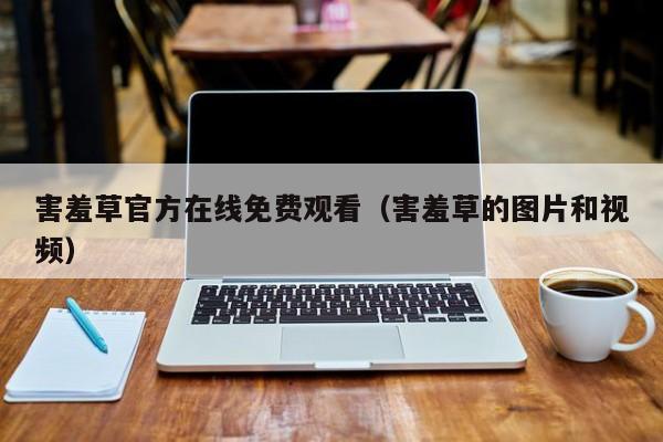 害羞草官方在线免费观看(害羞草的图片和视频)
