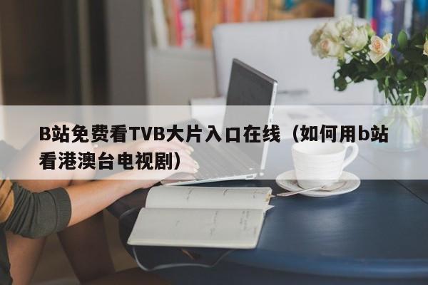 B站免费看TVB大片入口在线(如何用b站看港澳台电视剧)