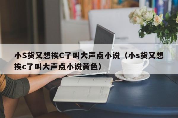 小S货又想挨C了叫大声点小说(小s货又想挨c了叫大声点小说黄色)
