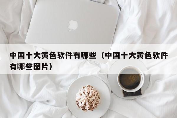 中国十大黄色软件有哪些(中国十大黄色软件有哪些图片)