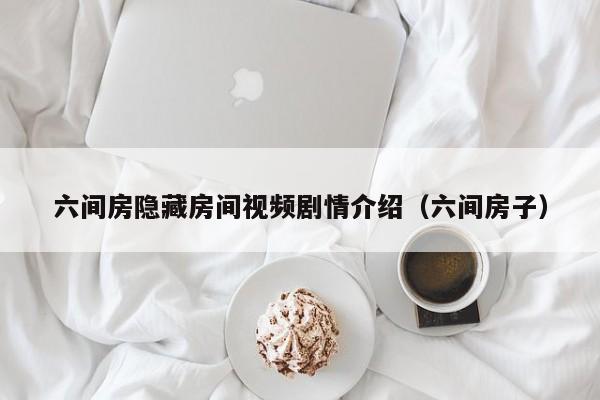 六间房隐藏房间视频剧情介绍(六间房子)