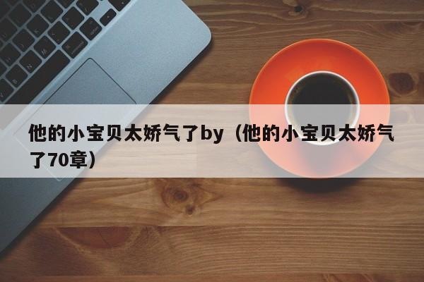 他的小宝贝太娇气了by(他的小宝贝太娇气了70章)