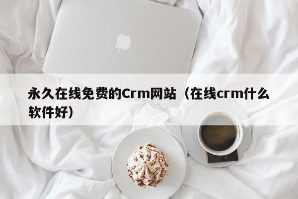 永久在线免费的Crm网站(在线crm什么软件好)