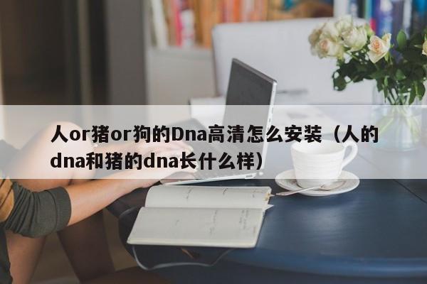 人or猪or狗的Dna高清怎么安装(人的dna和猪的dna长什么样)