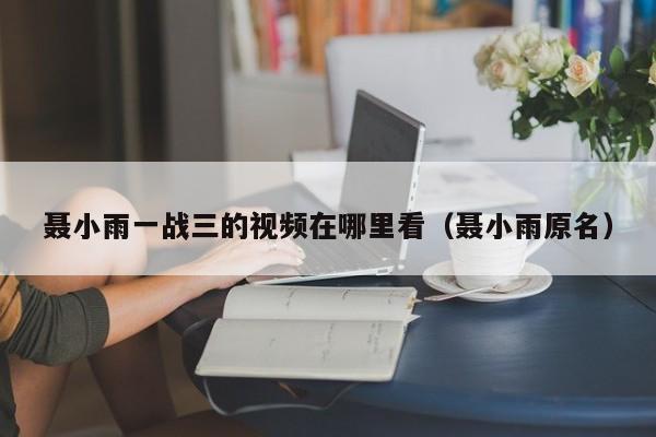 聂小雨一战三的视频在哪里看(聂小雨原名)