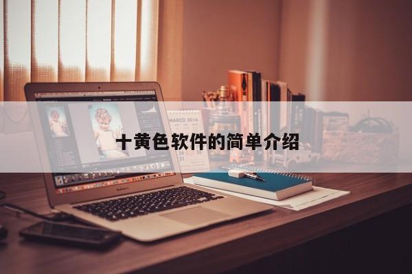 十黄色软件的简单介绍