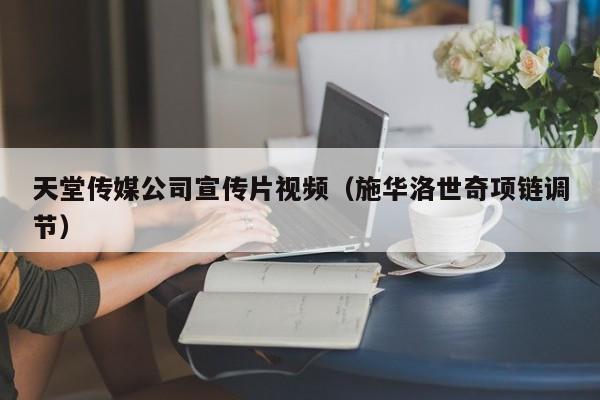 天堂传媒公司宣传片视频(施华洛世奇项链调节)