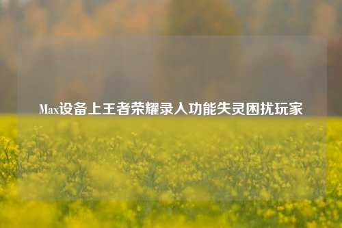 Max设备上王者荣耀录入功能失灵困扰玩家