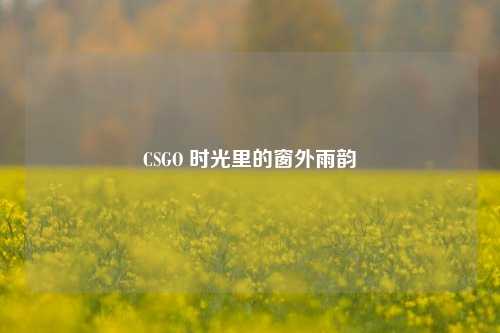 CSGO 时光里的窗外雨韵