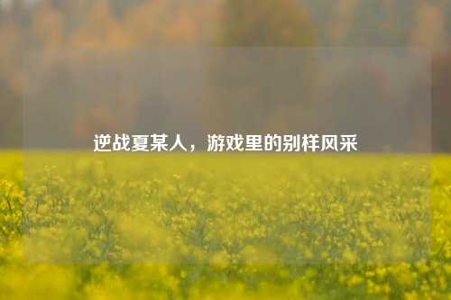 逆战夏某人，游戏里的别样风采