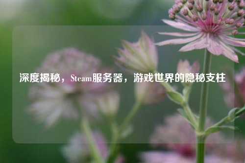 深度揭秘，Steam服务器，游戏世界的隐秘支柱