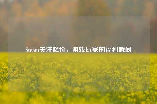 Steam关注降价，游戏玩家的福利瞬间