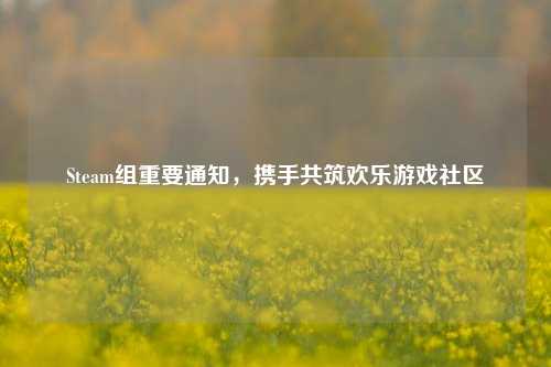 Steam组重要通知，携手共筑欢乐游戏社区