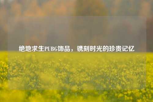 绝地求生PUBG饰品，镌刻时光的珍贵记忆