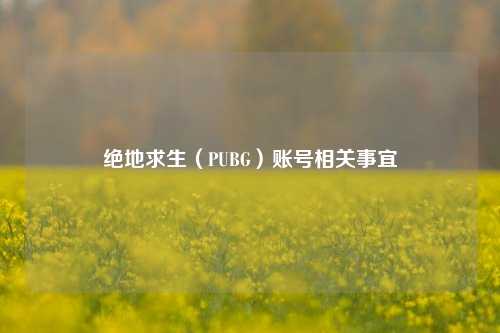 绝地求生（PUBG）账号相关事宜
