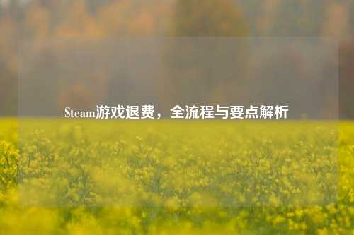 Steam游戏退费，全流程与要点解析