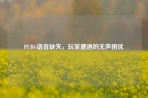 PUBG语音缺失，玩家遭遇的无声困扰