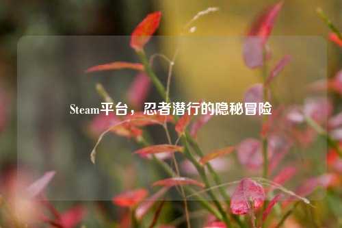 Steam平台，忍者潜行的隐秘冒险