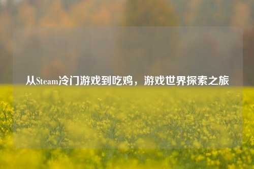 从Steam冷门游戏到吃鸡，游戏世界探索之旅