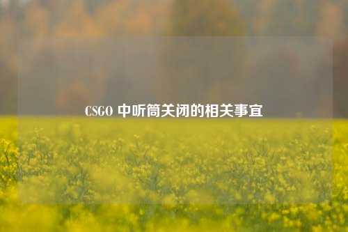 CSGO 中听筒关闭的相关事宜