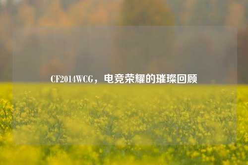 CF2014WCG，电竞荣耀的璀璨回顾
