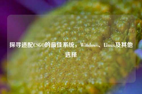 探寻适配CSGO的最佳系统，Windows、Linux及其他选择
