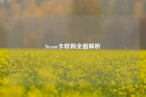 Steam卡收购全面解析