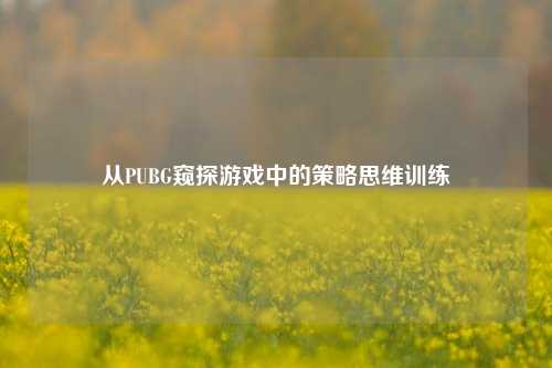 从PUBG窥探游戏中的策略思维训练