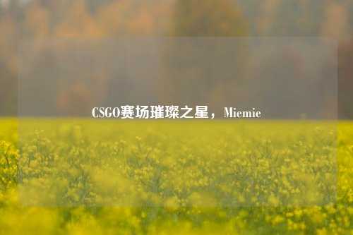 CSGO赛场璀璨之星，Miemie