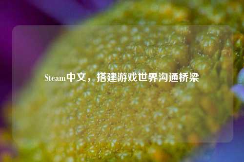 Steam中文,搭建游戏世界沟通桥梁