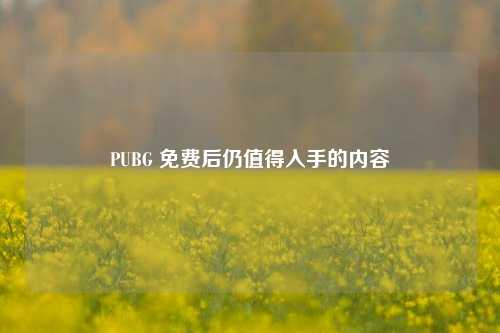PUBG 免费后仍值得入手的内容