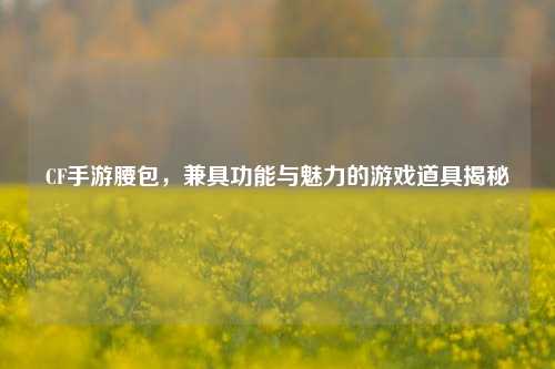 CF手游腰包，兼具功能与魅力的游戏道具揭秘
