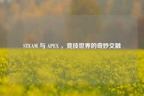 STEAM 与 APEX ，竞技世界的奇妙交融
