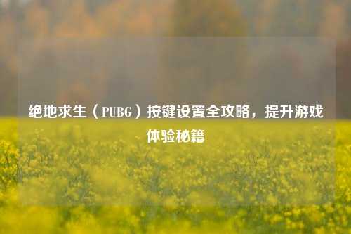 绝地求生（PUBG）按键设置全攻略，提升游戏体验秘籍