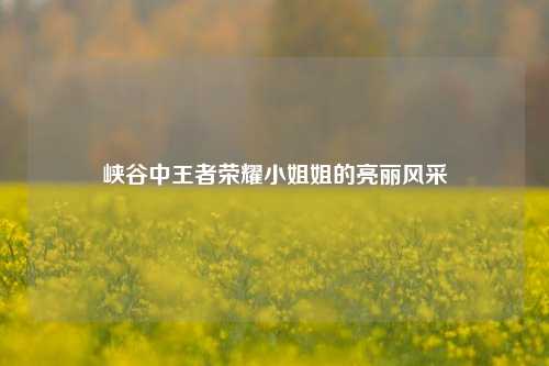 峡谷中王者荣耀小姐姐的亮丽风采