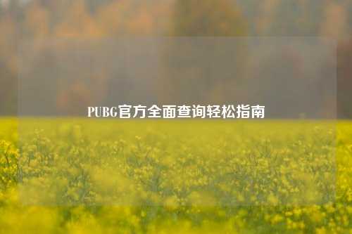 PUBG官方全面查询轻松指南