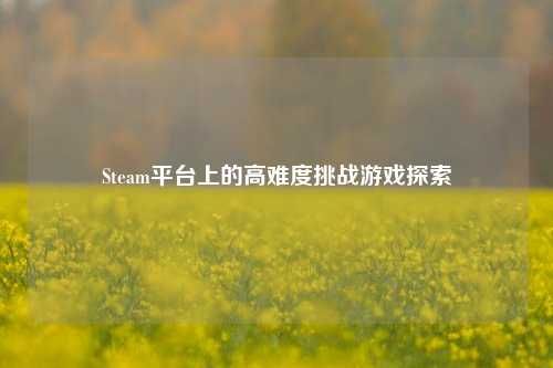 Steam平台上的高难度挑战游戏探索