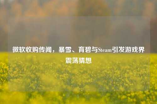 微软收购传闻,暴雪、育碧与Steam引发游戏界震荡猜想