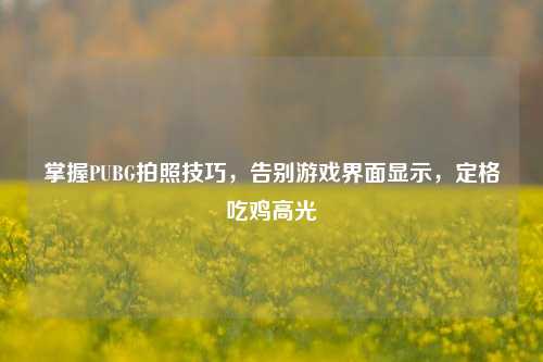 掌握PUBG拍照技巧,告别游戏界面显示,定格吃鸡高光