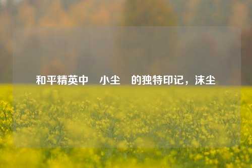 和平精英中卍小尘卍的独特印记,沫尘