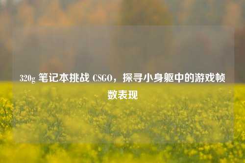 320g 笔记本挑战 CSGO,探寻小身躯中的游戏帧数表现