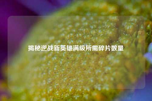 揭秘逆战新英雄满级所需碎片数量