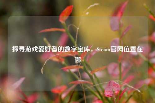 探寻游戏爱好者的数字宝库,Steam官网位置在哪