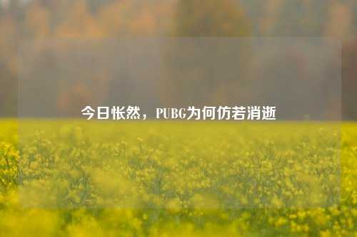 今日怅然,PUBG为何仿若消逝