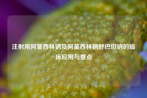 注射用阿莫西林钠及阿莫西林钠舒巴坦钠的临床应用与要点